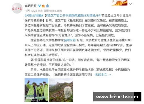 中国体育明星低谷事件深度剖析与反思揭示了背后的心理挑战与重生之路